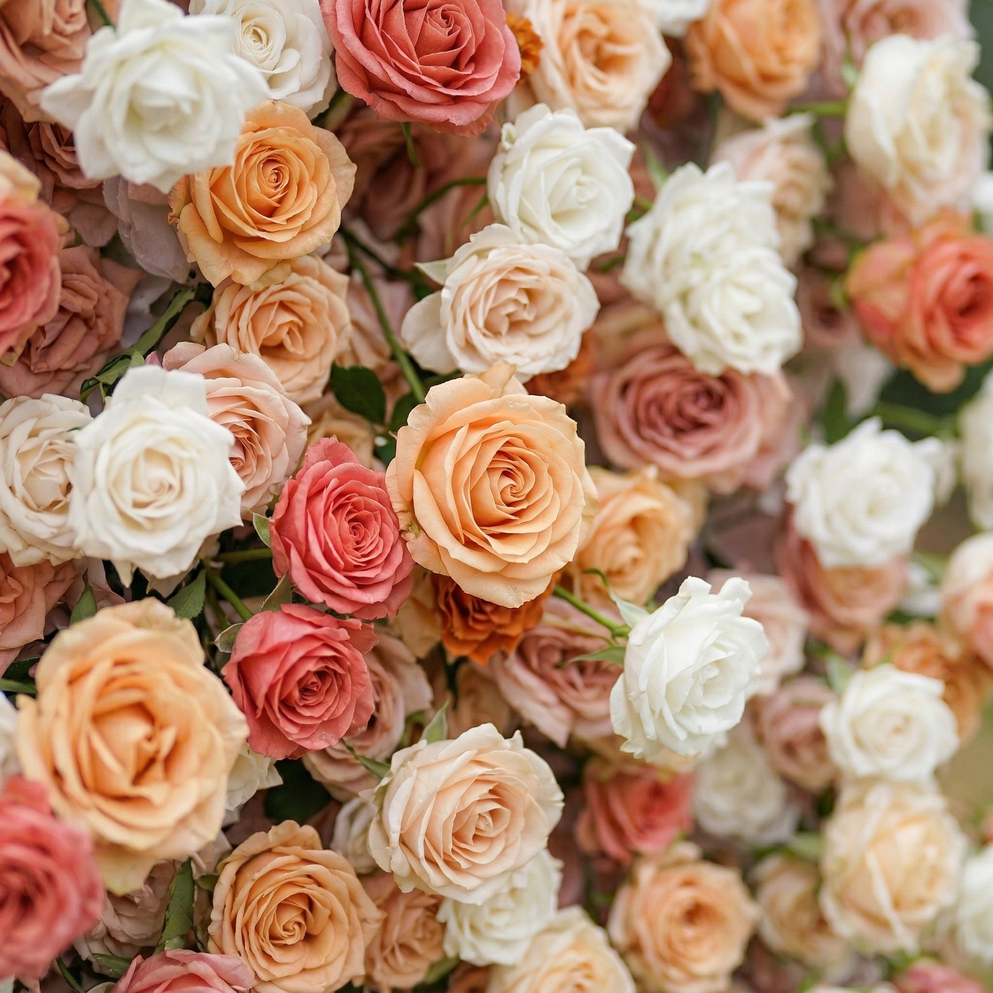 Adora 4D Floral Wall Backdrop Perfect for Valentine’s Day, Weddings & Events