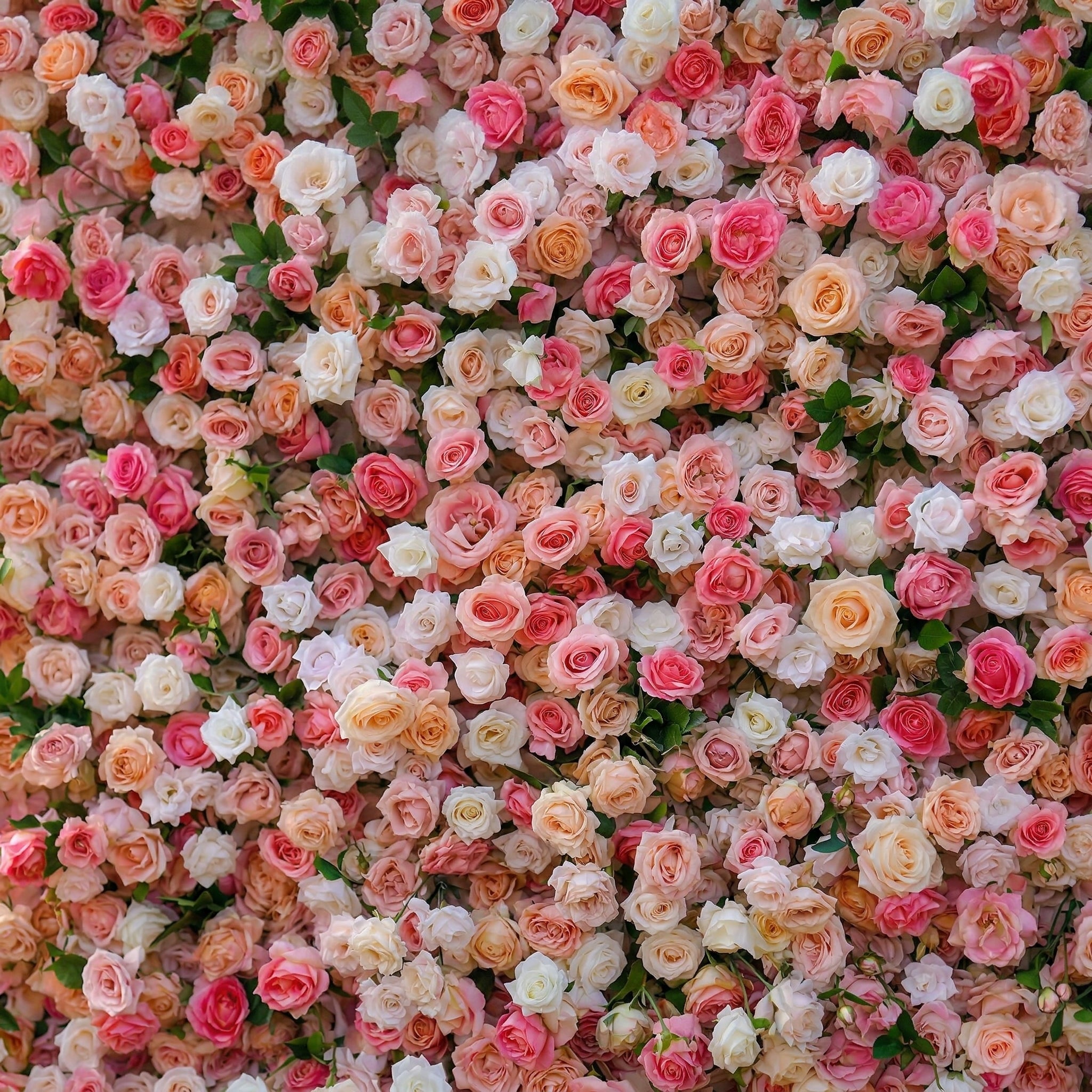 Elinia 4D Pink & White Rose Flower Wall Panel – Easy Install Faux Floral Backdrop for Birthday, Graduation & Event Decor