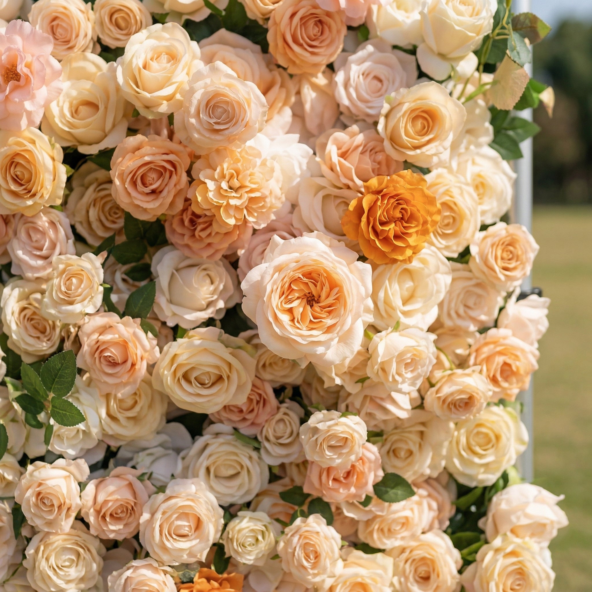 Hazenen 3D Orange Rose Floral Wall Backdrop Perfect for Valentine’s Day Weddings & Events
