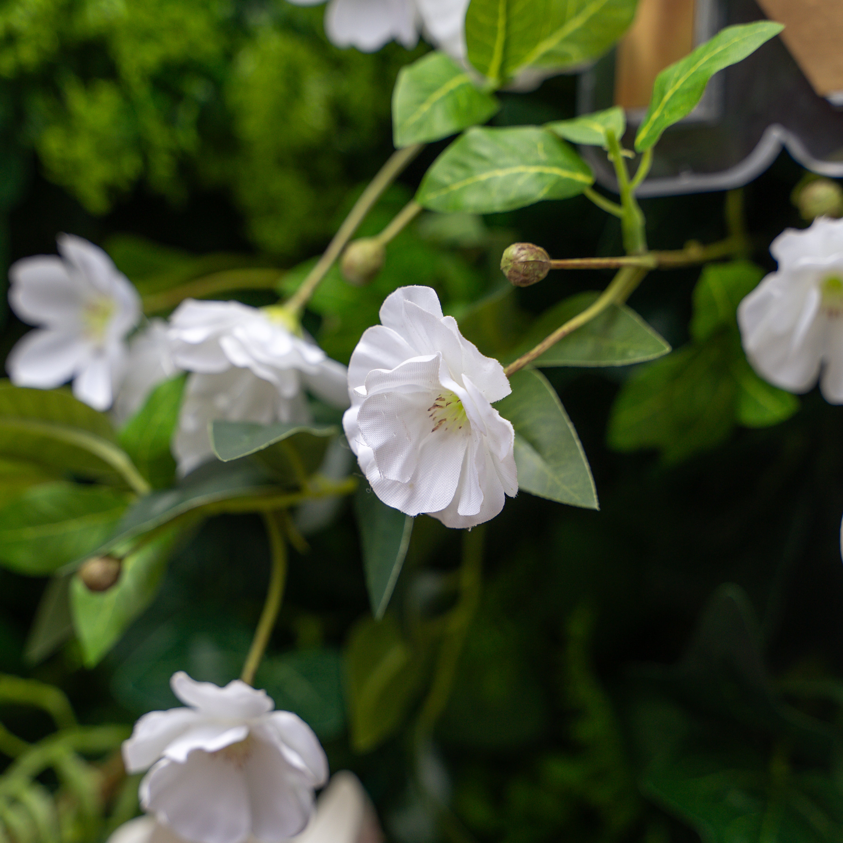 Norfolk 5D Fabric Artificial zip up curtain flower wall 8ft*8ft