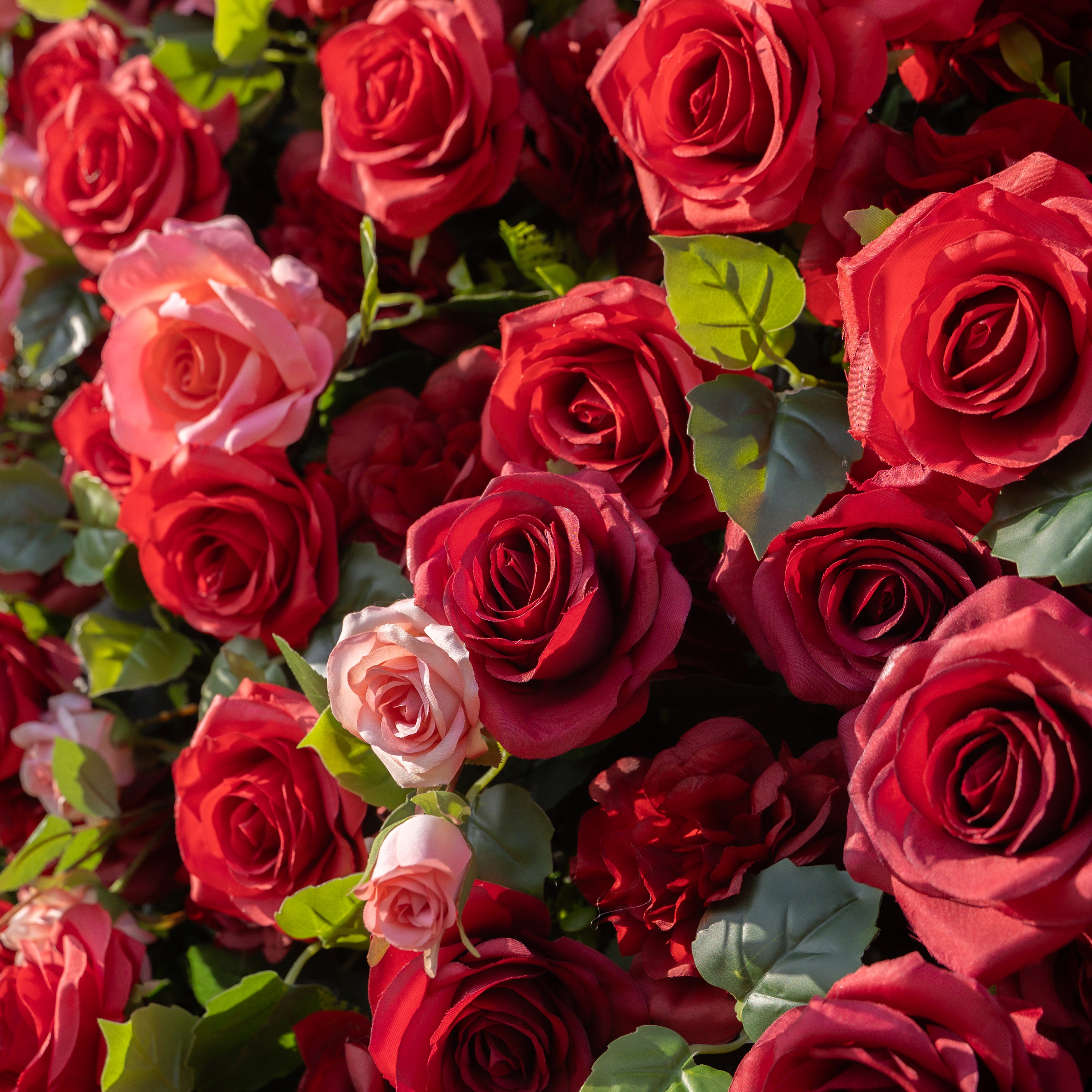 Marina 3D Floral Wall Backdrop Perfect for Valentine’s Day, Weddings & Events