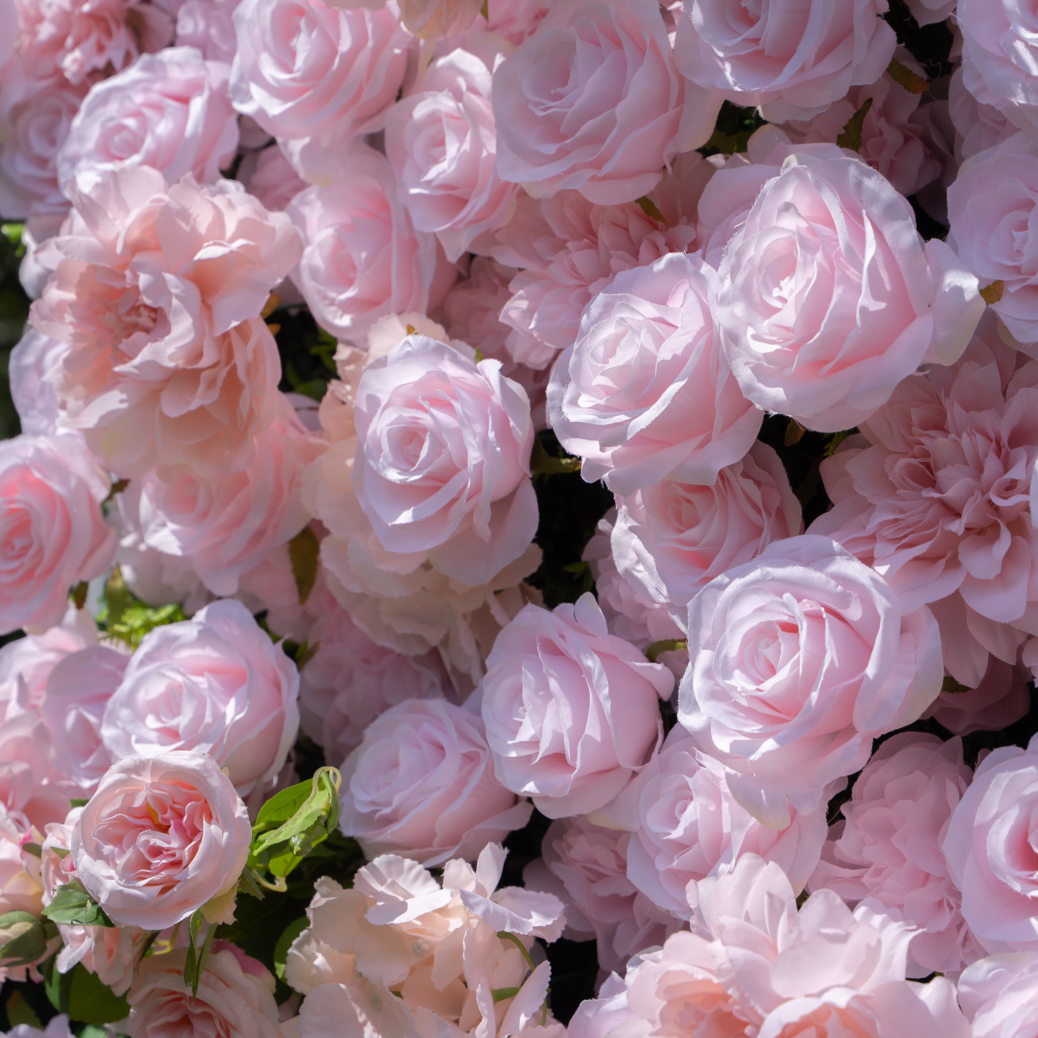 Sweety 5D Fabric Artificial Flower Wall Curtain ldeal for Weddings, Proposals, and Romantic Events