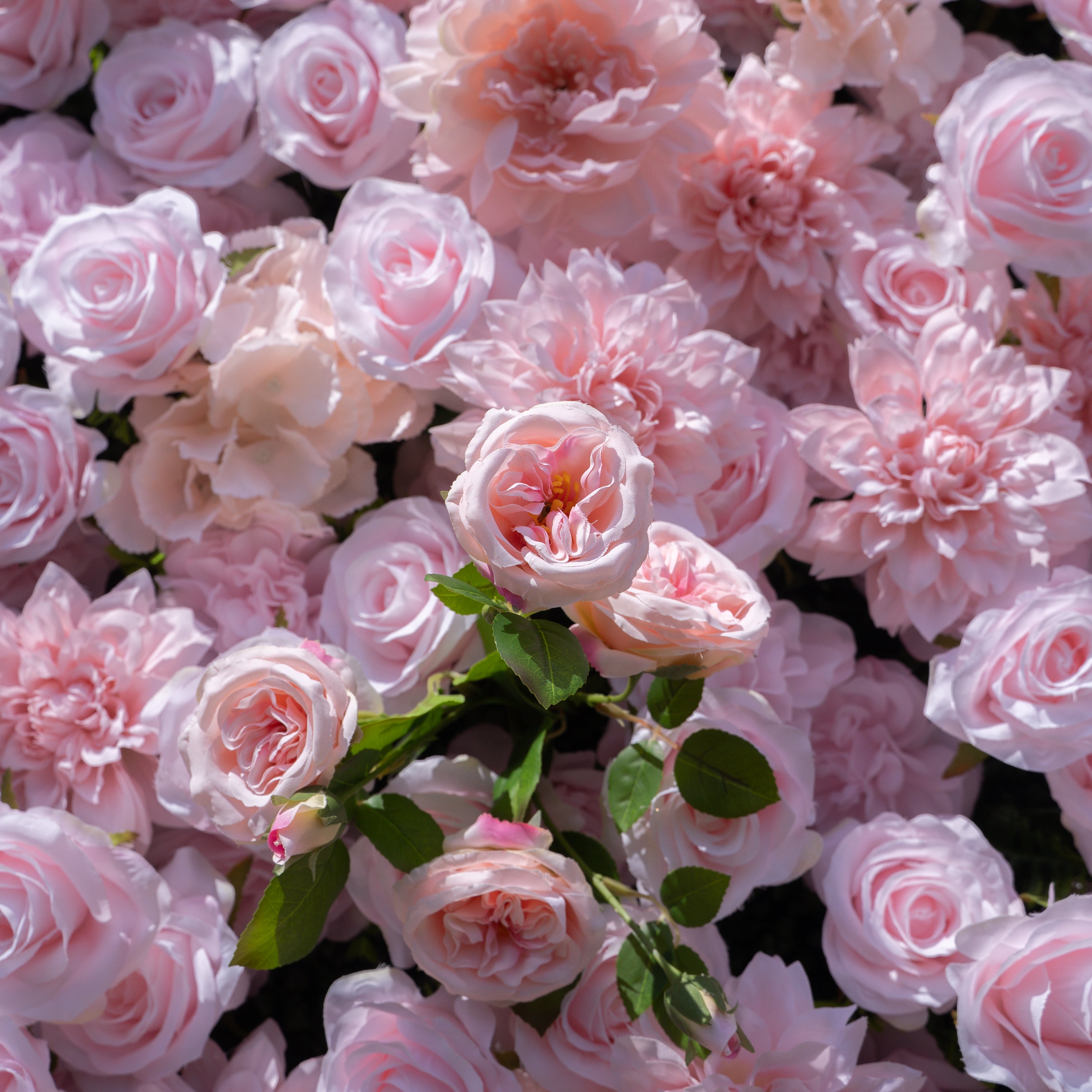 Sweety 5D Fabric Artificial Flower Wall Curtain ldeal for Weddings, Proposals, and Romantic Events