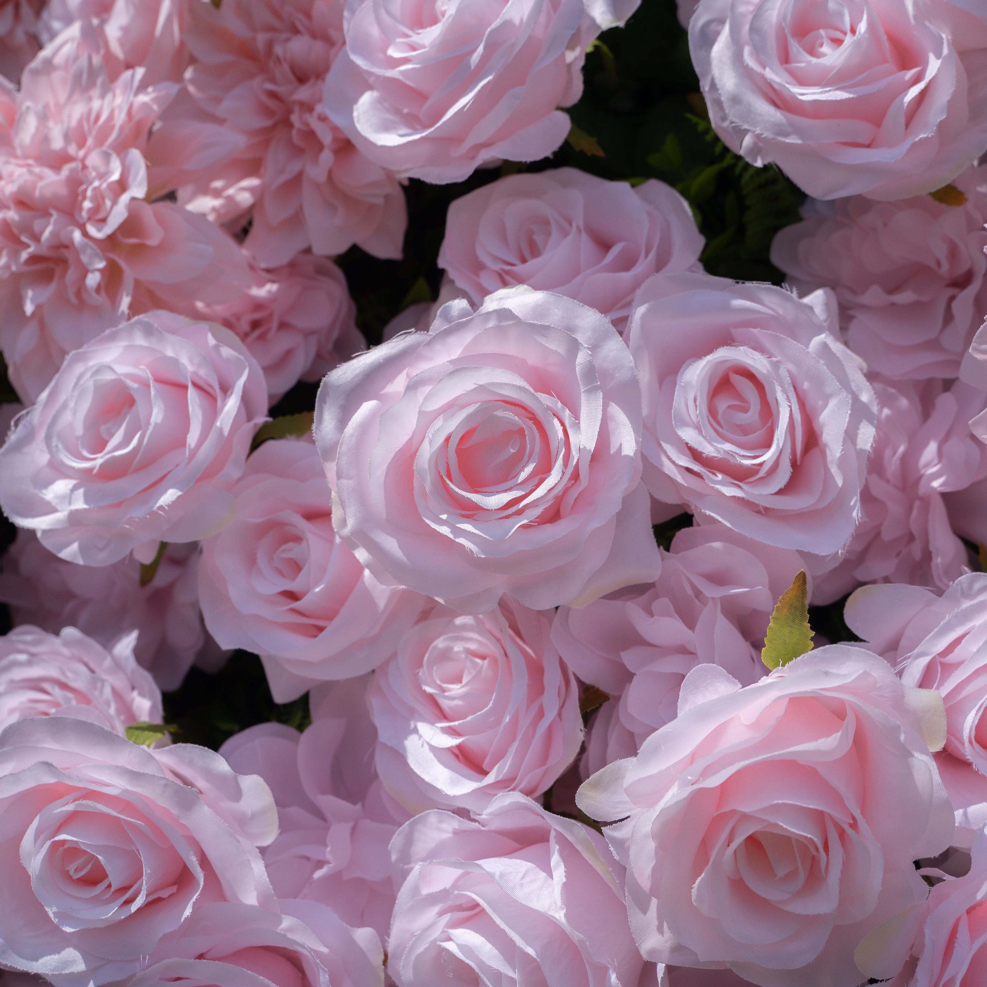 Sweety 5D Fabric Artificial Flower Wall Curtain ldeal for Weddings, Proposals, and Romantic Events