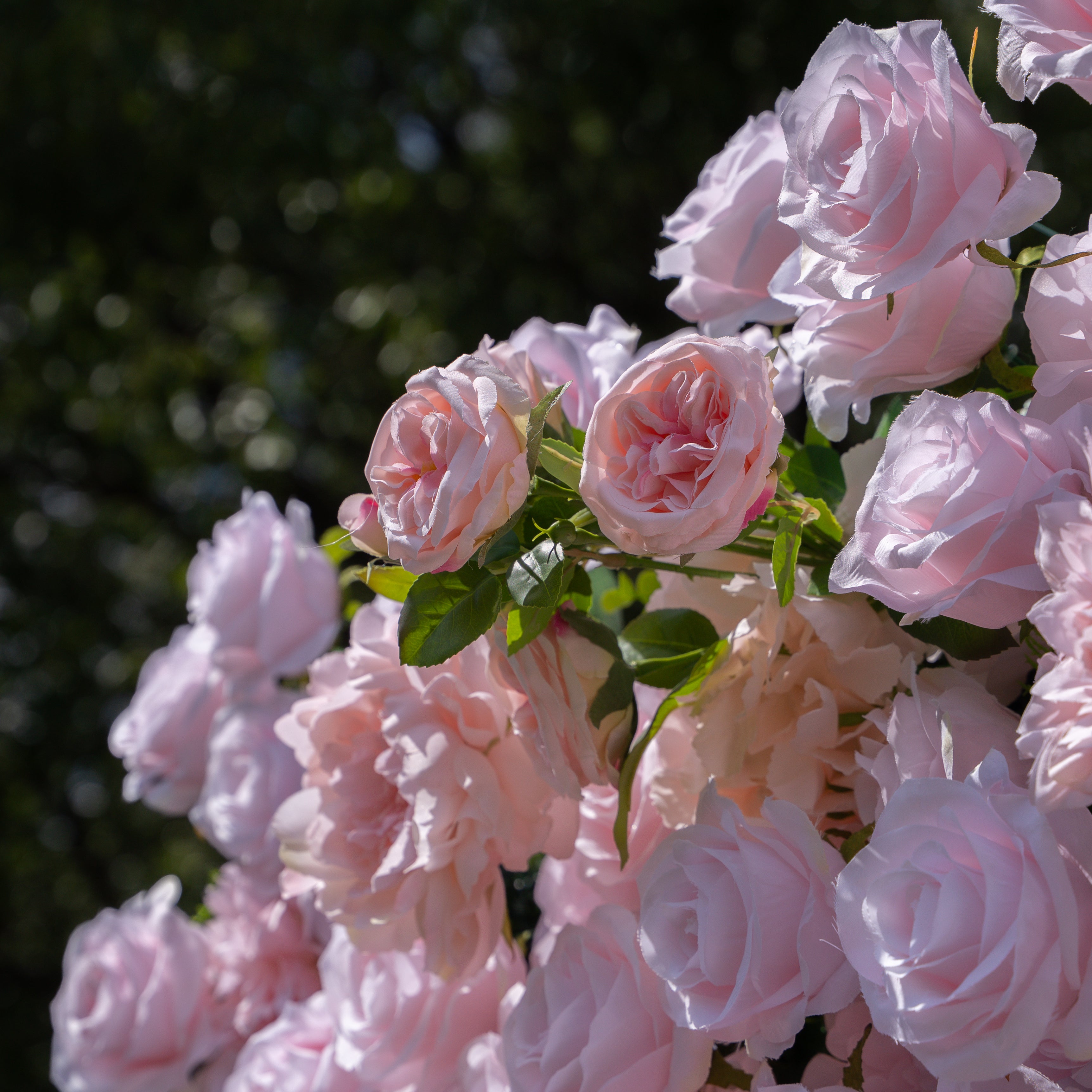 Sweety 5D Fabric Artificial Flower Wall Curtain ldeal for Weddings, Proposals, and Romantic Events