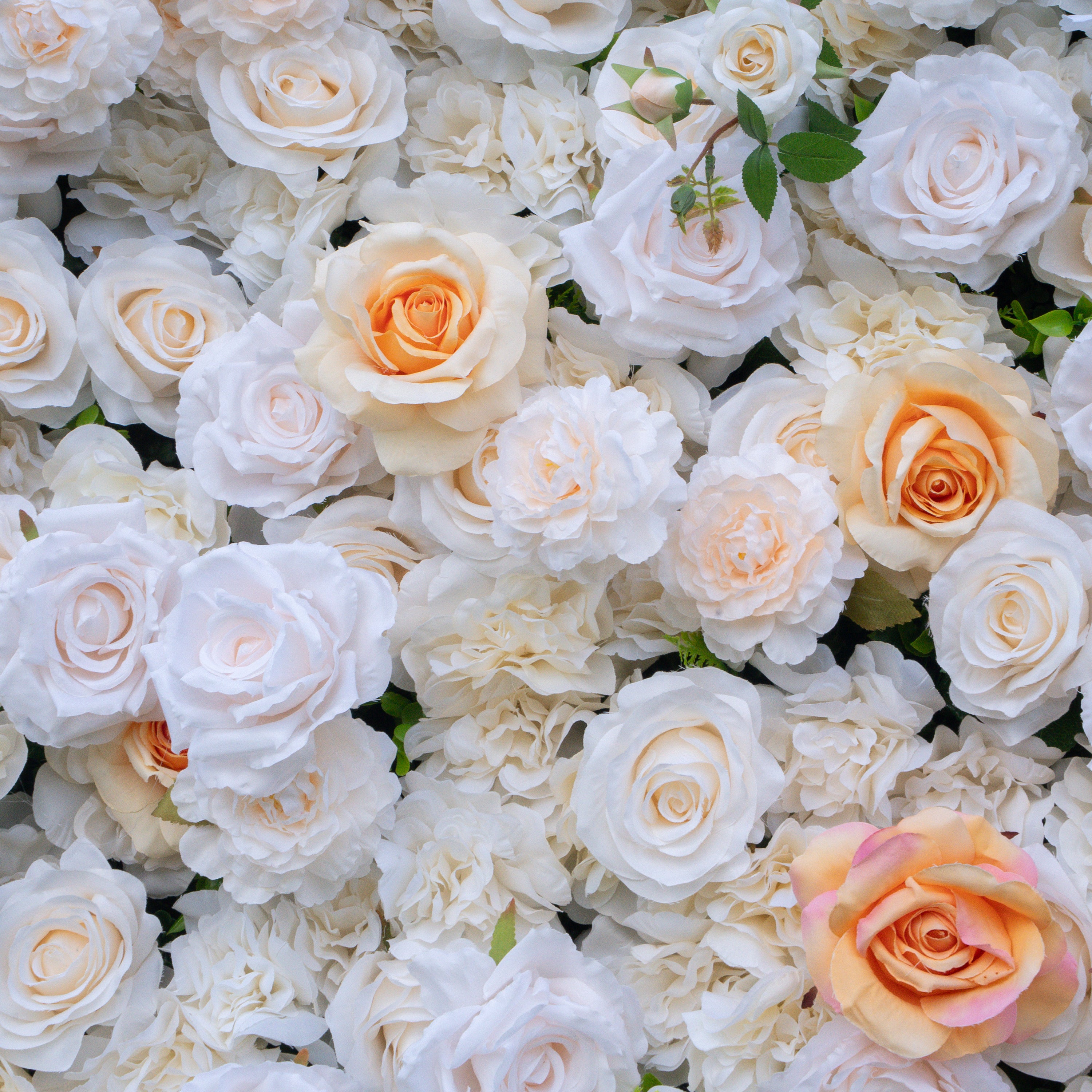 Opaline 3D Rose Flower Wall Fabric Artificial Zip Up Curtain Flower Wall For Wedding and Events Decoration