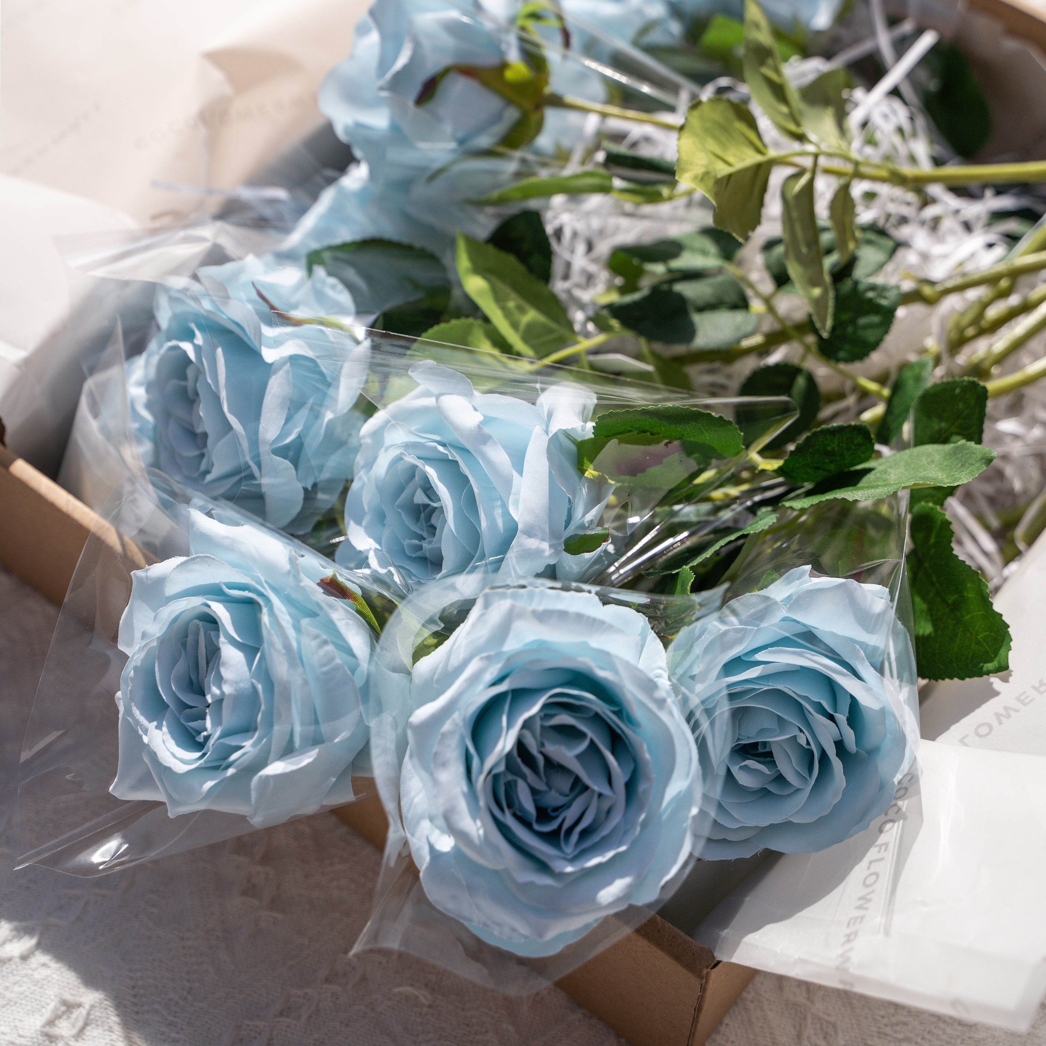 12 Stems Curled Rose (Light blue) Gift Box  (Ready to ship)