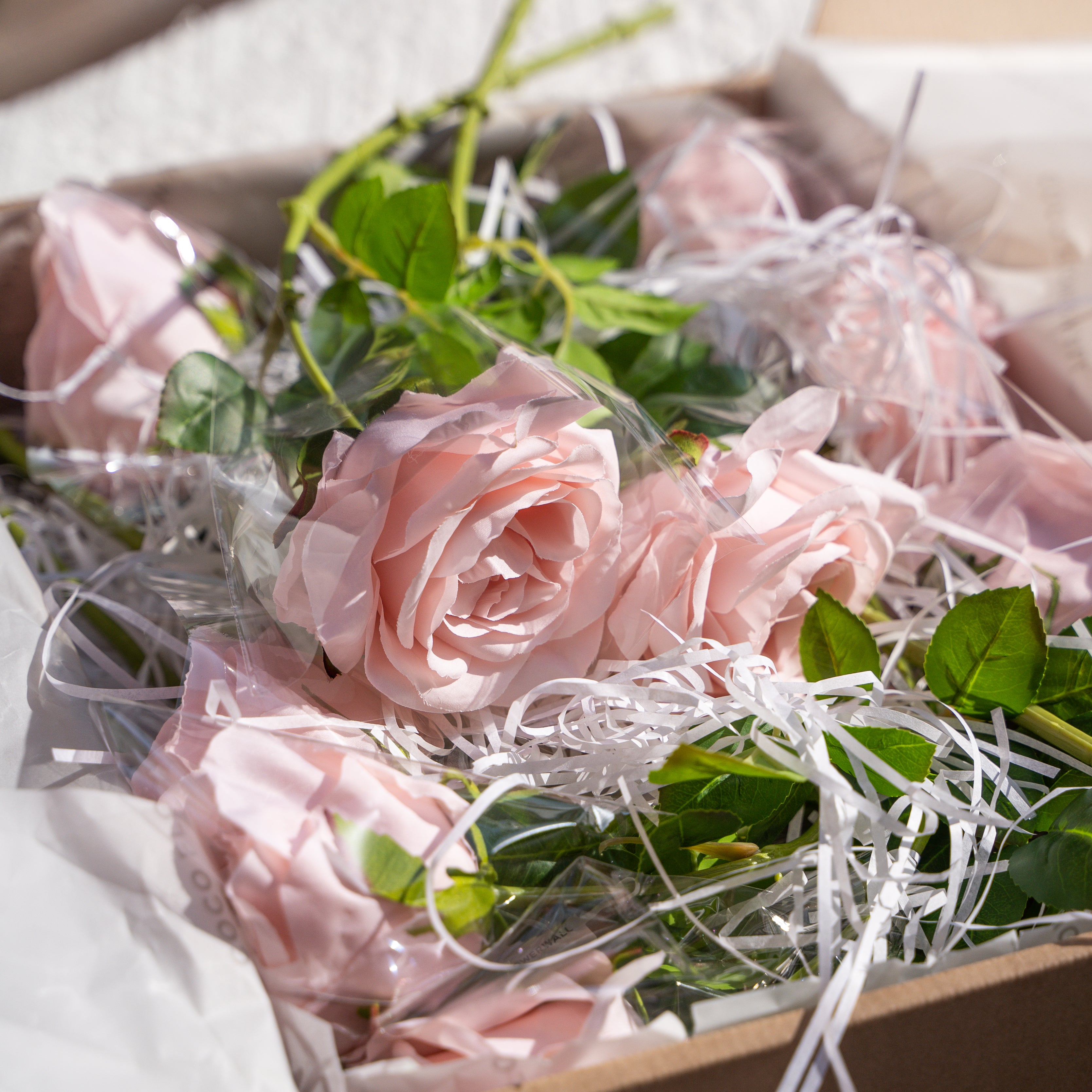 12 Stems Curled Rose (Pink) Gift Box (Ready to ship)