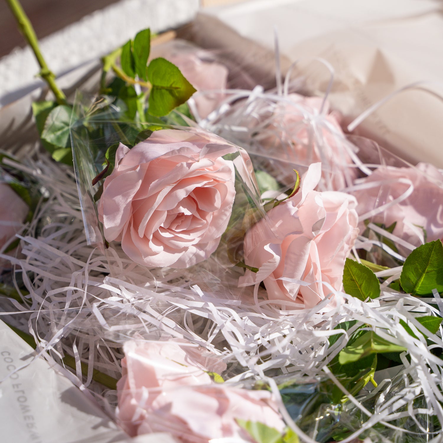 12 Stems Curled Rose (Pink) Gift Box (Ready to ship)