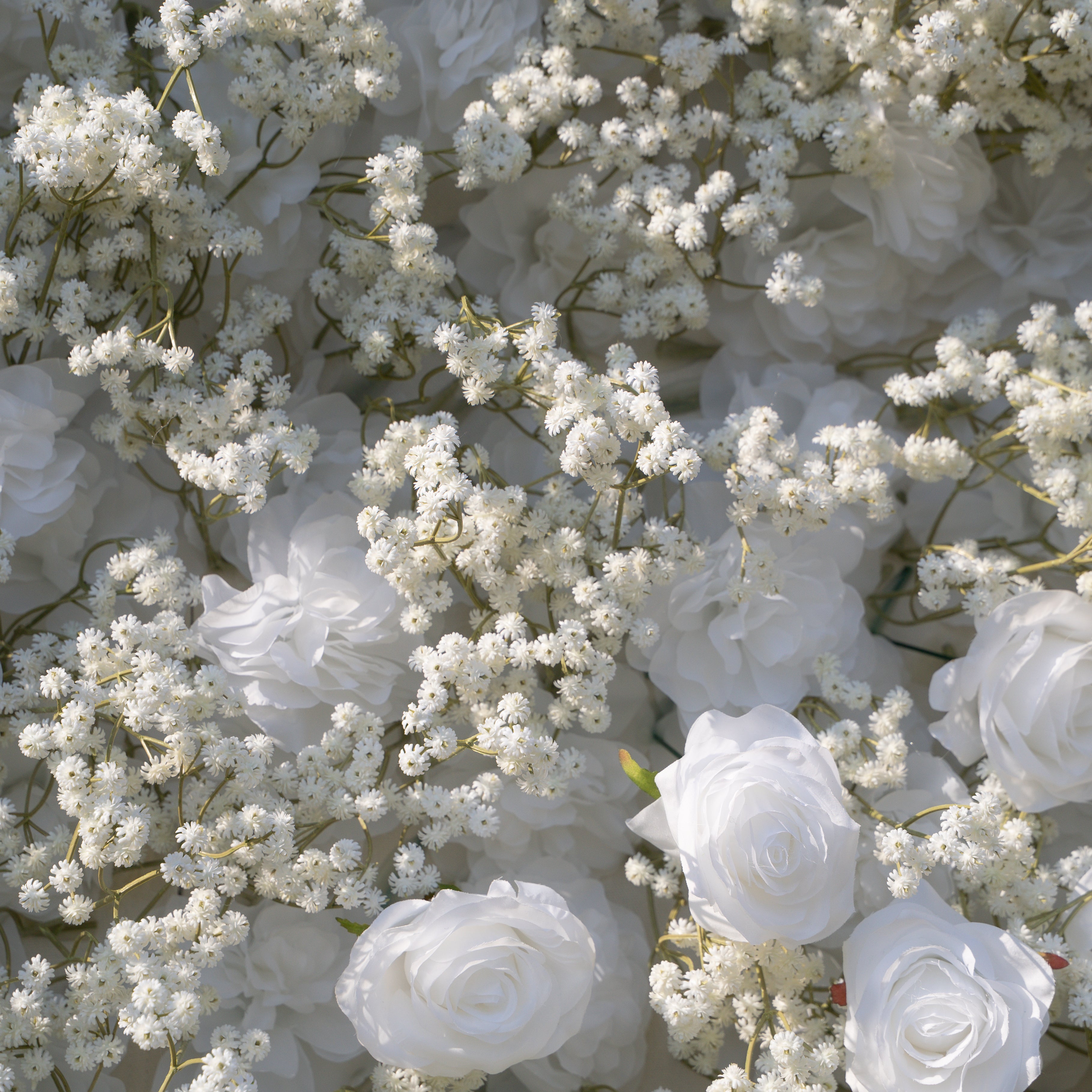 Shimmer 3D Floral Wall – White Roses &amp; Baby’s Breath, Perfect for Proposals &amp; Weddings