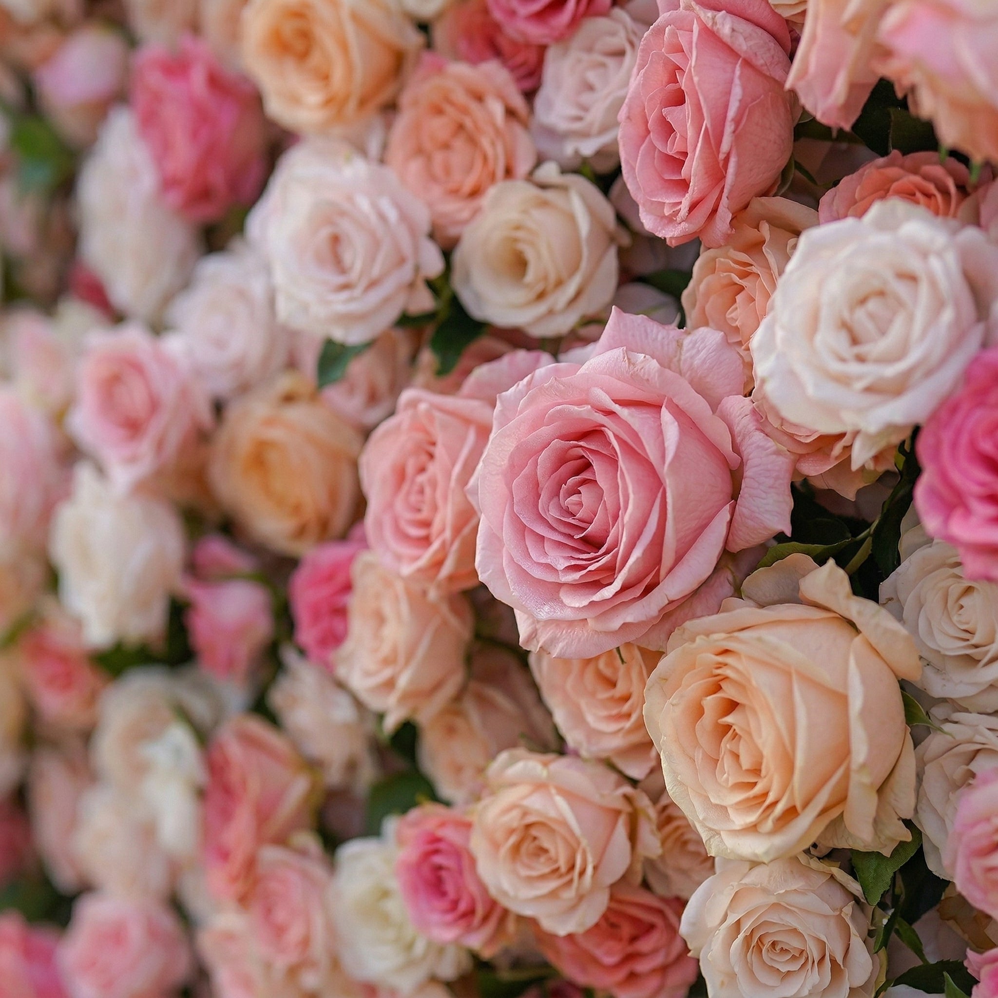 Elinia 4D Pink &amp; White Rose Flower Wall Panel – Easy Install Faux Floral Backdrop for Birthday, Graduation &amp; Event Decor