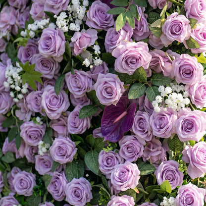 Evoren 3D Purple Rose Flower Wall Fabric Artificial Zip Up Curtain Flower Wall For Wedding and Events Decoration