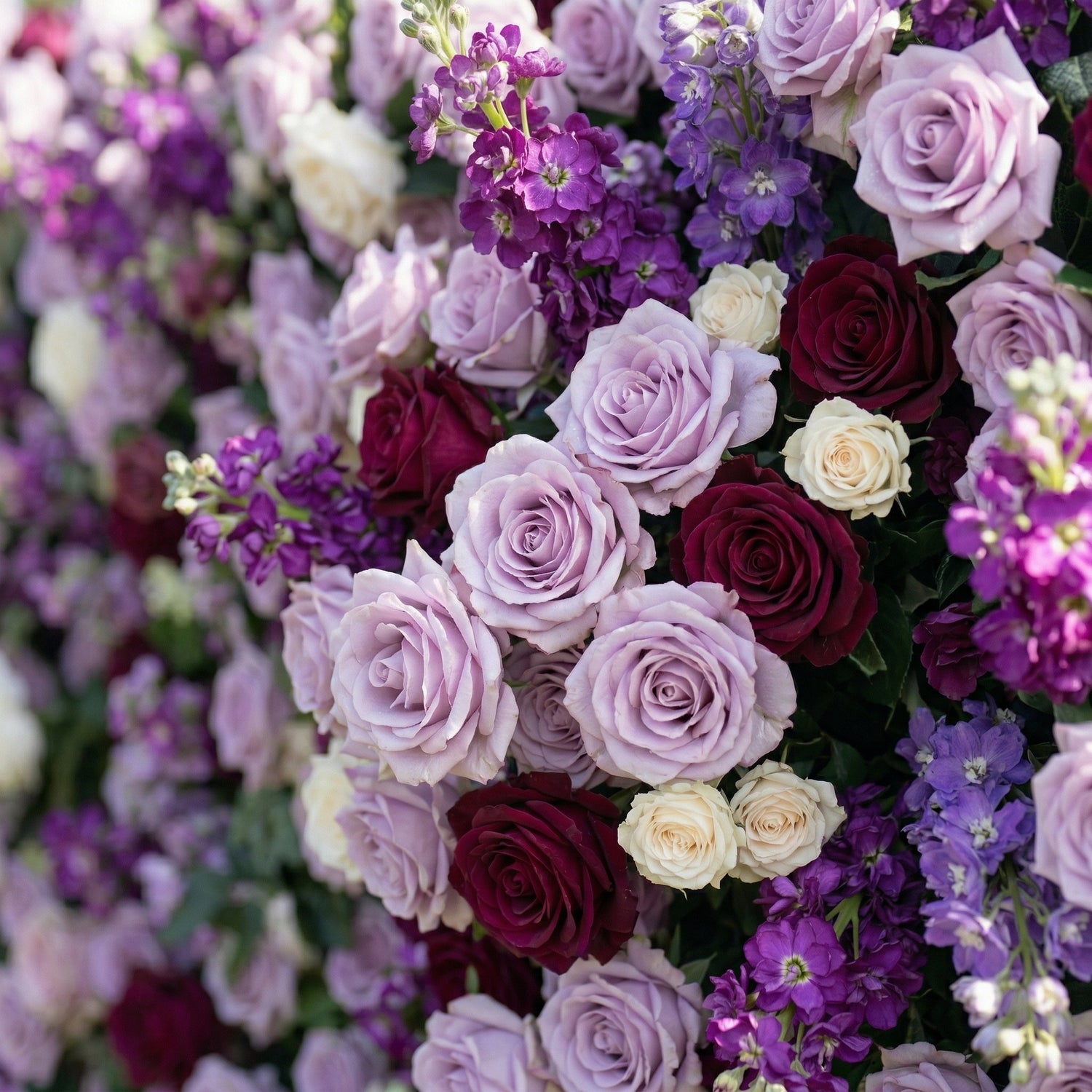 Fawnie 3D Purple Rose Floral Wall Backdrop Perfect for Valentine’s Day Weddings &amp; Events