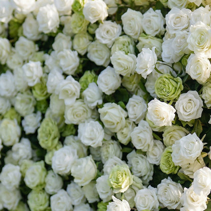 Lotanen 3D White &amp; Green Rose Flower Wall for Outdoor Weddings &amp; Home Decor