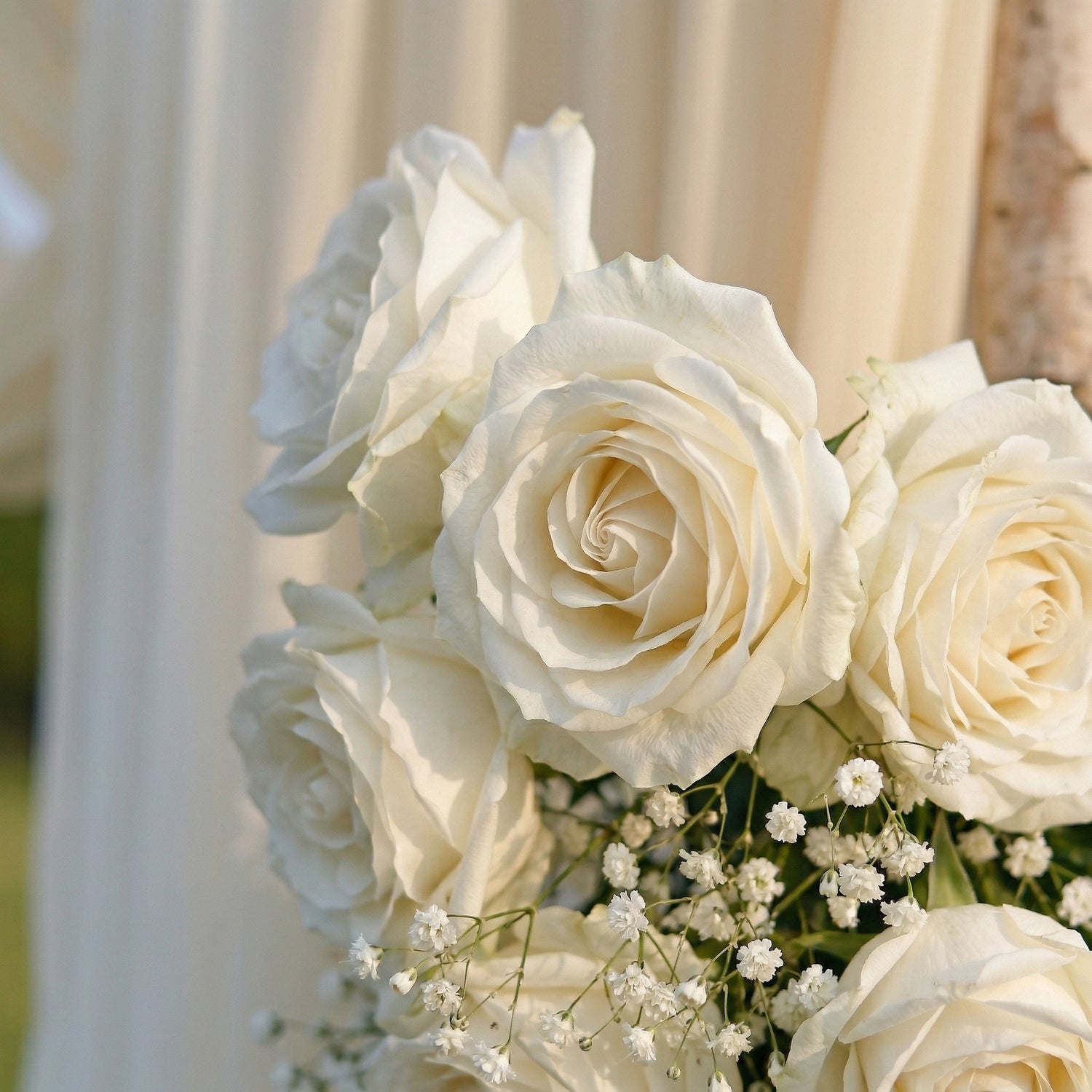 Olive White Rose &amp; Baby&