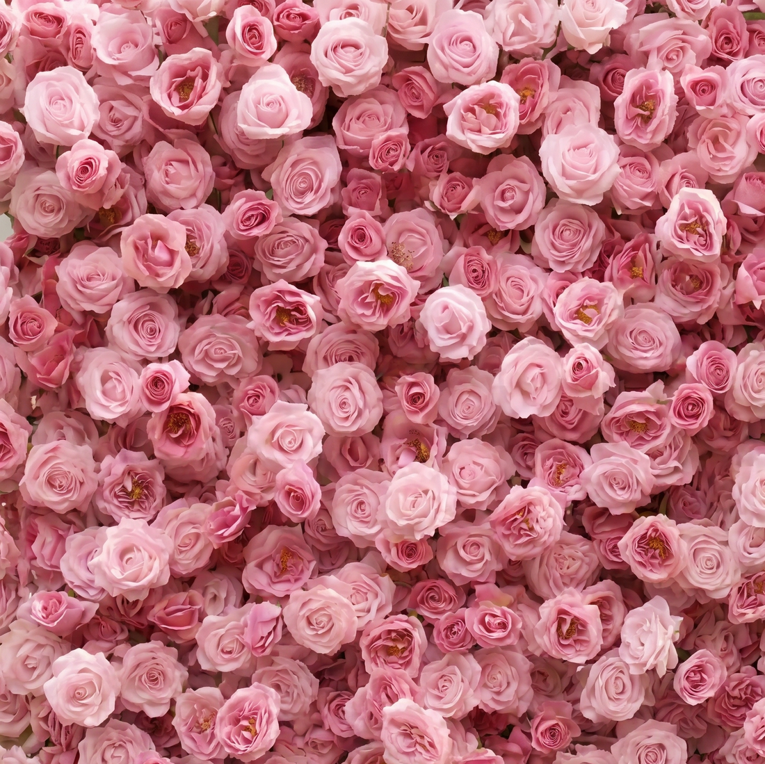 Nectar Luxury 4D Pink Silk Floral Wall Roll-Up Backdrop for Elegant Minimalist Weddings