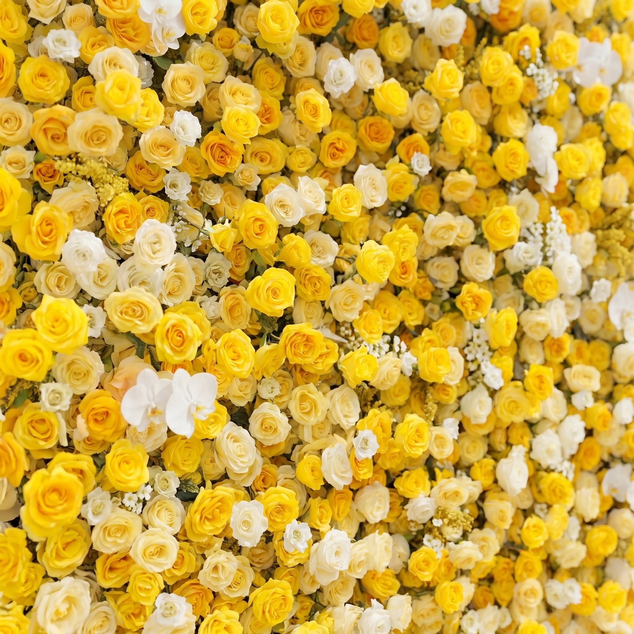 Scent Luxury 4D Lemon Yellow &amp; White Silk Floral Wall Backdrop for Vibrant Summer Events