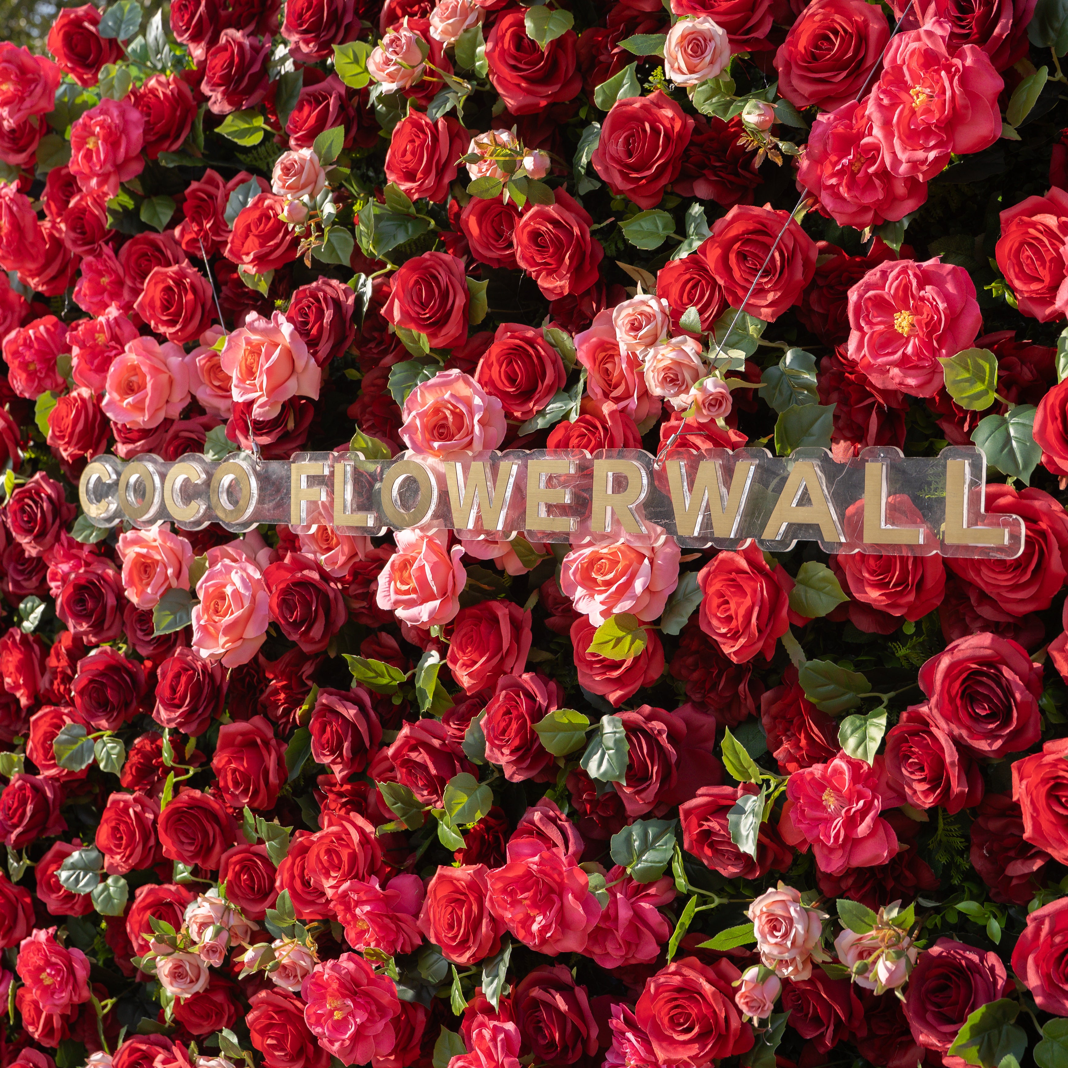 Marina 3D Floral Wall Backdrop Perfect for Valentine’s Day, Weddings &amp; Events