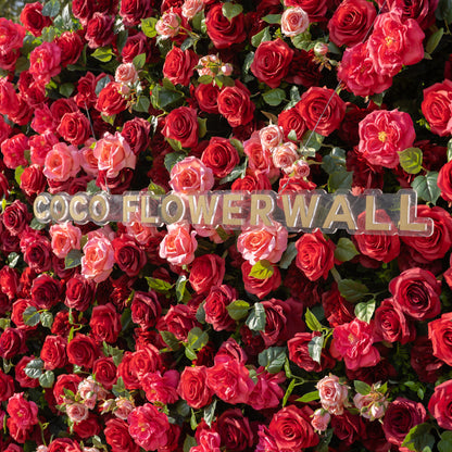 Marina 3D Floral Wall Backdrop Perfect for Valentine’s Day, Weddings &amp; Events