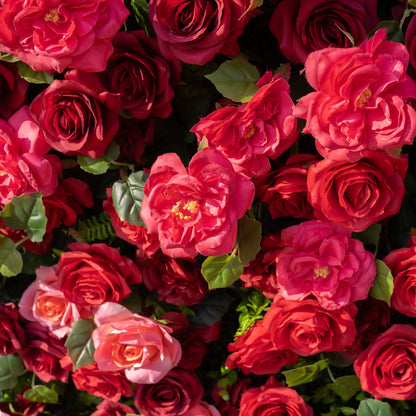 Marina 3D Floral Wall Backdrop Perfect for Valentine’s Day, Weddings &amp; Events