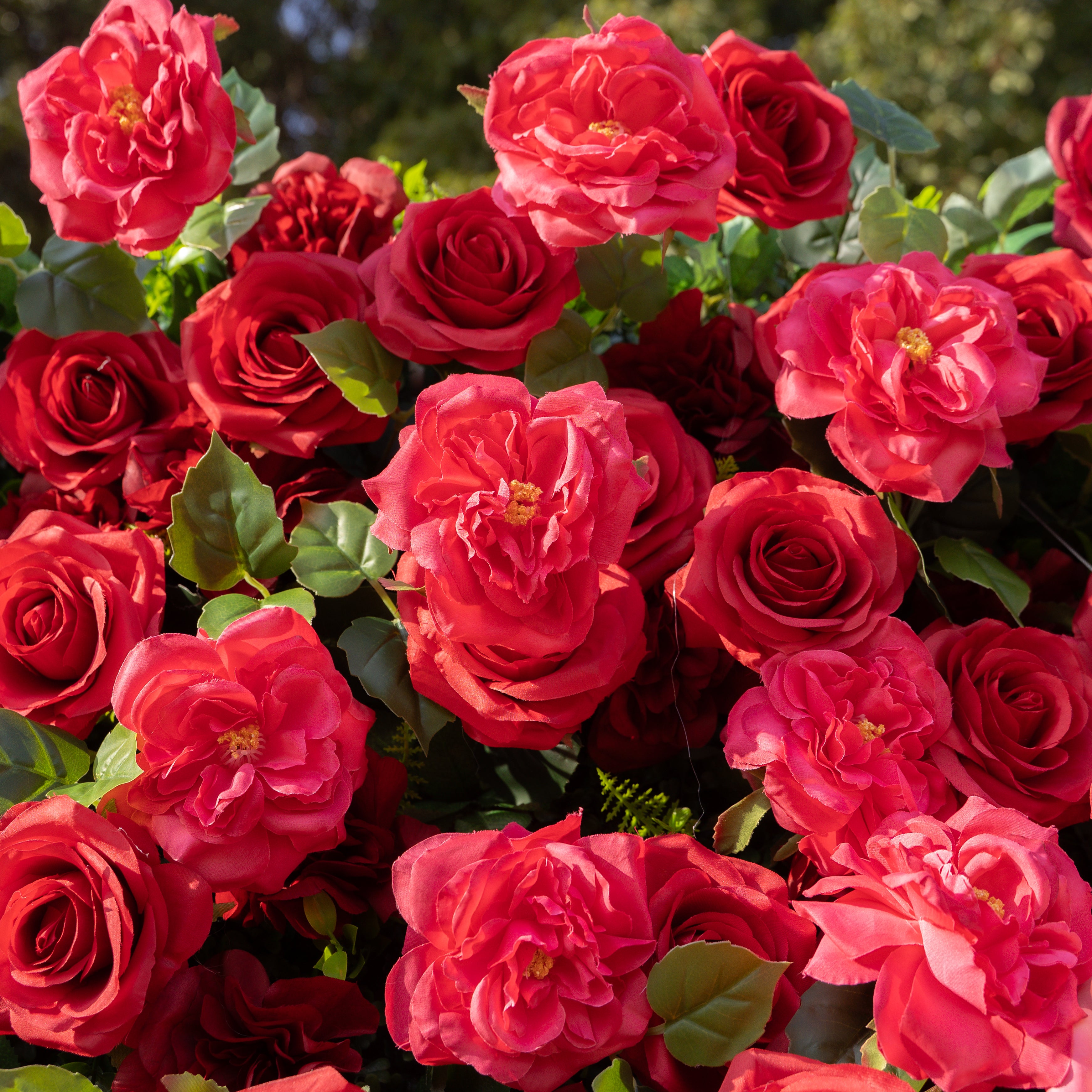 Marina 3D Floral Wall Backdrop Perfect for Valentine’s Day, Weddings &amp; Events