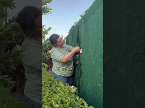 Cornell 2D Fabric Backdrop Artificial Flower Wall with Zip-Up Design for Wedding and Photobooth